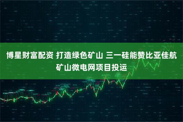 博星财富配资 打造绿色矿山 三一硅能赞比亚佳航矿山微电网项目投运