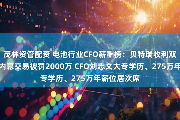 茂林资管配资 电池行业CFO薪酬榜：贝特瑞收利双降、董事长内幕交易被罚2000万 CFO刘志文大专学历、275万年薪位居次席